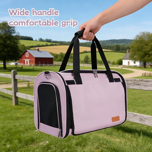 Cat Carrier Backpack (pink)