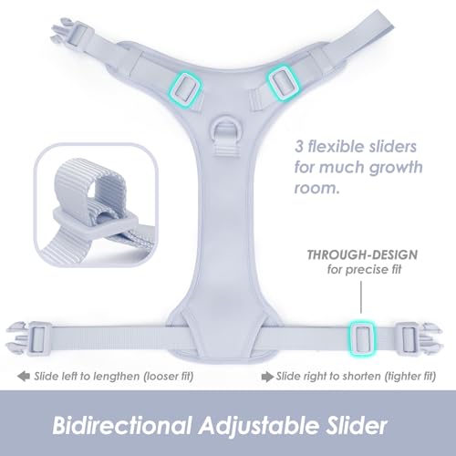 No Pull Dog Harness for Small Sized Dogs (Light Blue / S(Neck:15.7-22.0", Chest:17.3-24.8"))