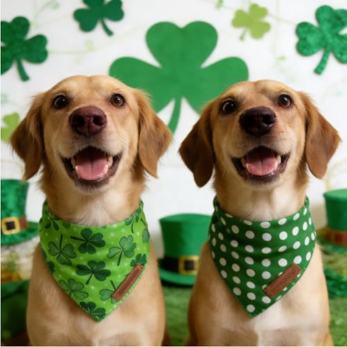 St. Patrick's Day Dog Bandanas 2 Pack (St Patricks Day 1 / X-Large)