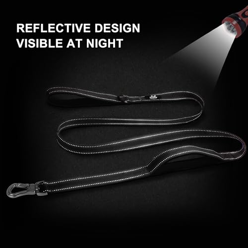6FT 1IN Heavy Duty Dog Leash for Large Dogs with 2 Padded Handles (Black / 1 in x 6 ft)