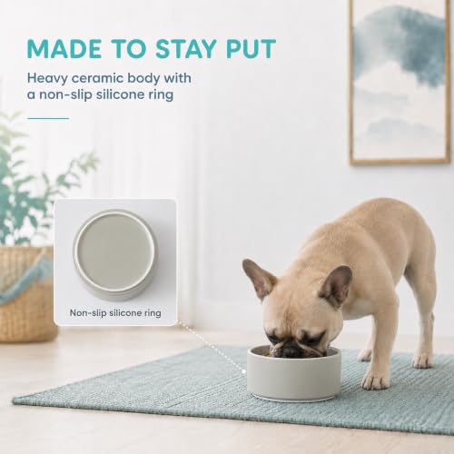 Ceramic Dog Bowls (Matte Gray)