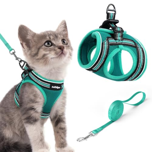 Cat Harness and Leash Set (S / Turquoise & Green)