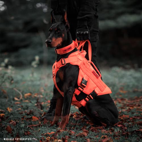 Tactical Dog Harness for Small Dog (Orange / S)