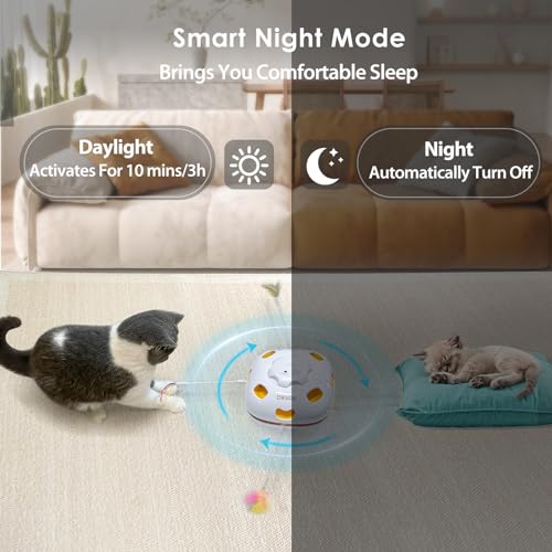 Cat Toys for Indoor Cats