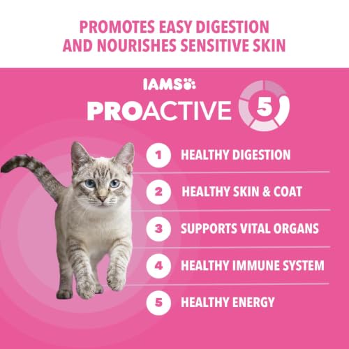 Proactive Health Sensitive Digestion Dry Cat Food (19 Pound (Pack of 1))