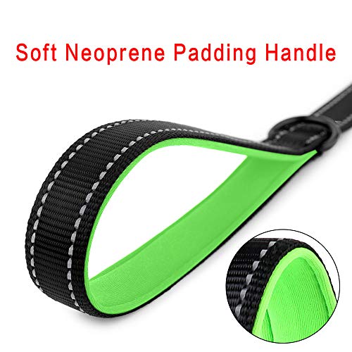 Short Training Dog Leash with Padded Handle for Medium Large Big Dogs (Black / 18 Inch (Pack of 1))