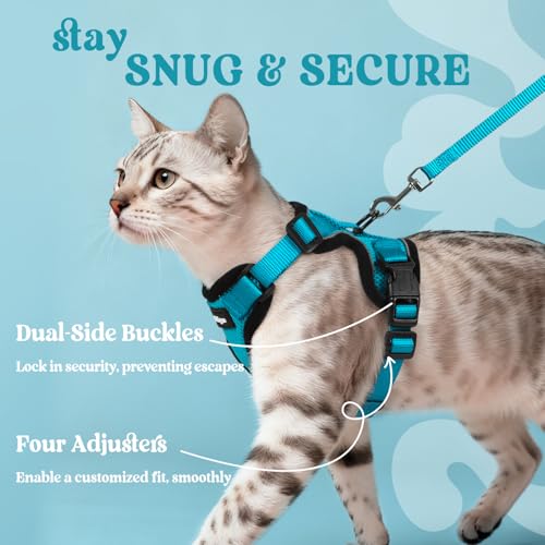 Cat Harness and Leash Set (S / Teal)