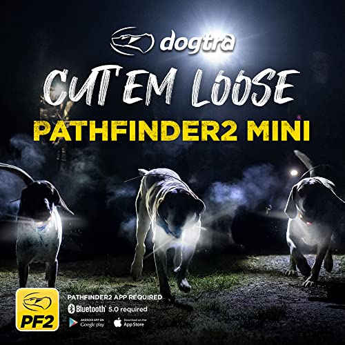 Pathfinder 2 Mini GPS Dog Tracker e Collar 4 Mile Long Range LED Light No Monthly Fees Free App Waterproof Smartwatch Control Based Real Time Tracking Multiple Dogs Smartphone Required (Pathfinder 2 / 25 lbs and up)