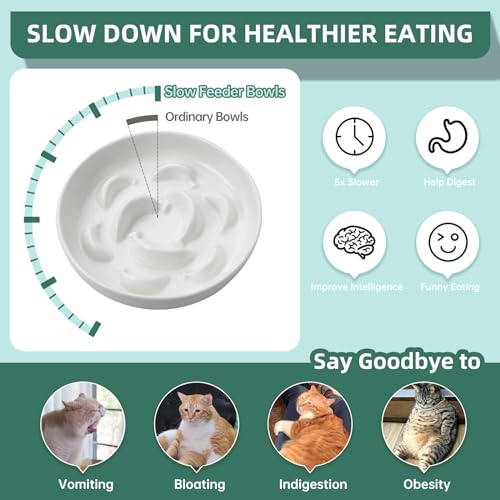 Ceramic Slow Feeder Cat Bowl (White / 1.2"H Standard)