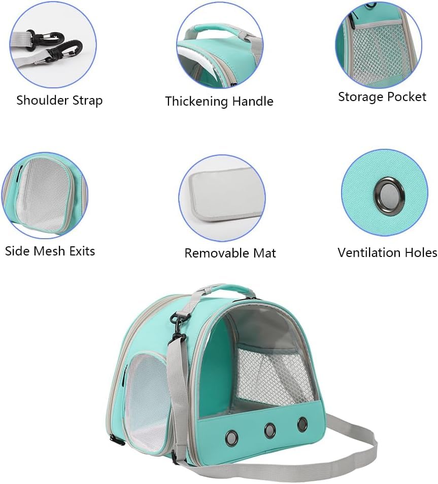 Bearded Dragon Carrier (Green)
