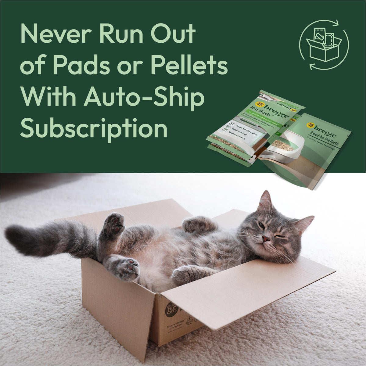 Breeze Cat Litter Box System Kit with Pellets & Pads (7.8 Pound (Pack of 1) / Green)