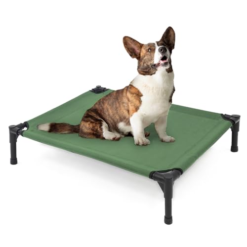 Elevated Dog Bed for Small Dogs (Green / Small)