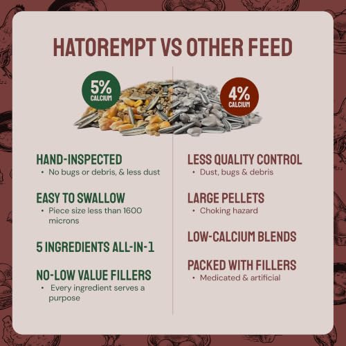 Hatortempt 5lb Essential Blend