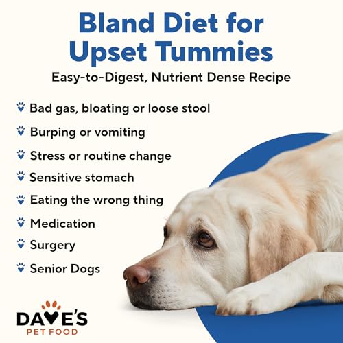 Bland Diet Dog Food (13.2 Ounce (Pack of 12))