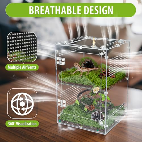 Large Jumping Spider Enclosure (Large-12''x8''x8'')