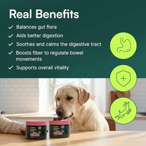 Probiotics for Dogs (60 Chews (Pack of 1))