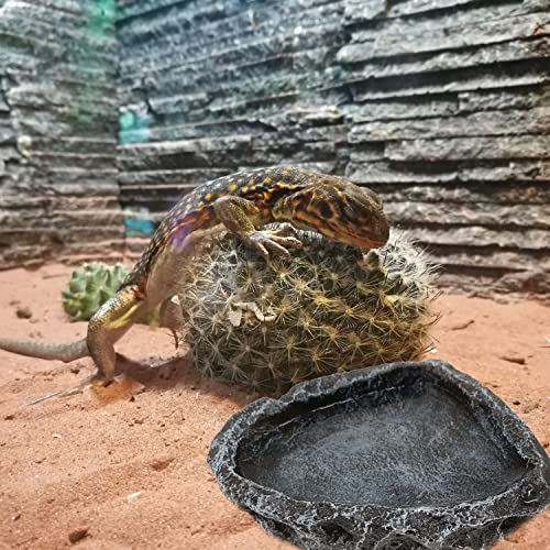 Reptile Water Dish Food Bowl (2 Pack Corner Bowls)