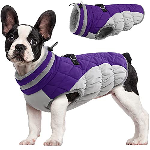 Dog Coat for Small Dogs (Purple / XS(chest:14in))