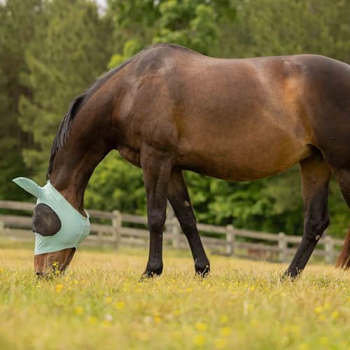 Bug Out Horse Fly Mask (Misty Jade / Horse)