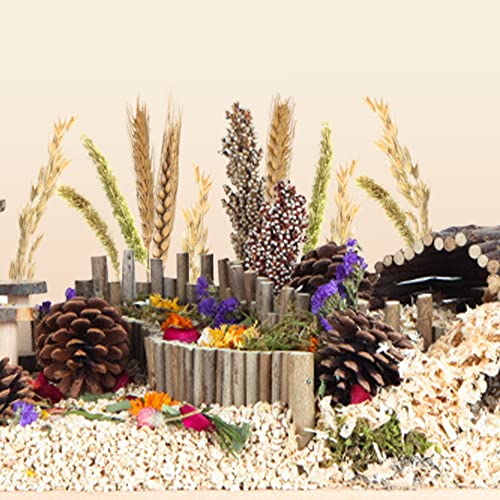 Natural Grain Flower&Herb Hamster Habitat Cage Accessories Bedding Decor (Wheat)