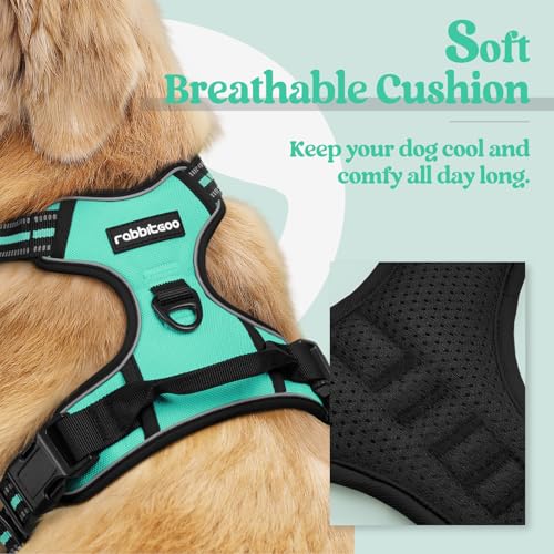 Dog Harness No Pull for Small Dogs with 2 Leash Clips (Small / Turquoise)