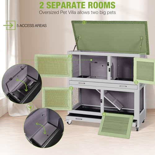 Rabbit Hutch Indoor with Chew