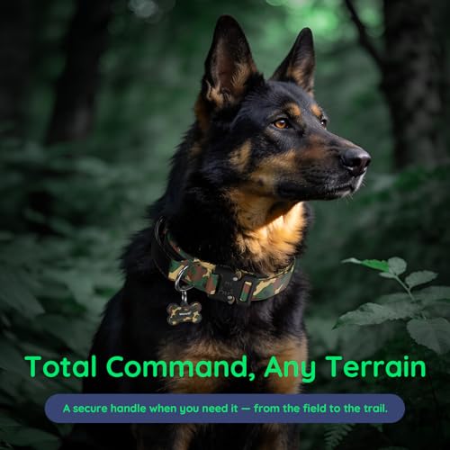 Premium Tactical Dog Collar (Woodland Camo / XL: Fits Neck 20.5"-24.5")
