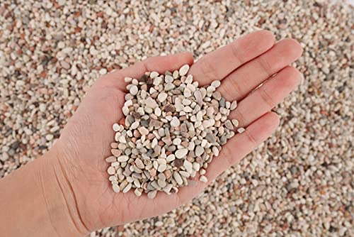 Betanu Aquarium Natural Fine Gravel 3 (M,2Lx1pk)