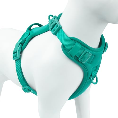 No Pull Dog Harness for Small Sized Dogs (MARRS Green / S(Neck:15.7-22.0", Chest:17.3-24.8"))