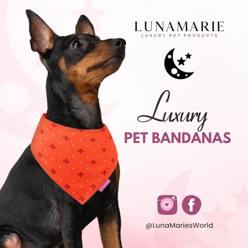 Luxury Pet Birthday Bandanas (Ember / Large)