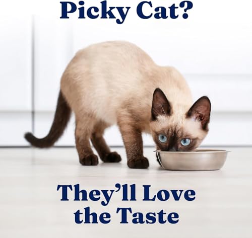Wet Cat & Kitten Food (12 Pack)