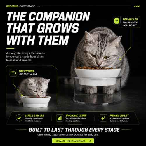 Raised Cat Bowl (White)