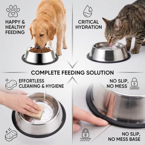 2 Pack Stainless Steel Dog Bowls (Stainless steel (2Pack) / 2.2 Cup/8.7" Dia x 2.4" H (2Pack))