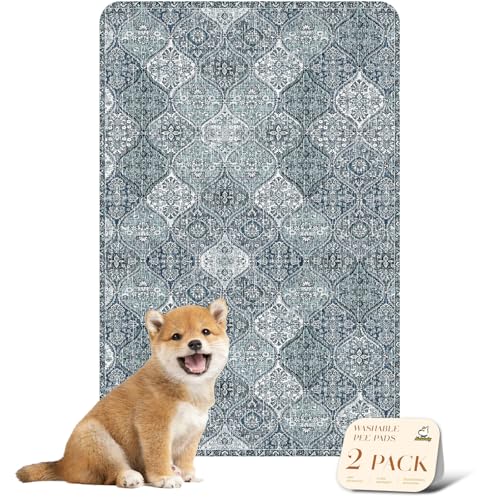 Washable Pee Pads for Dogs (24x36 Inch (Pack of 2) / Blue/Multi)