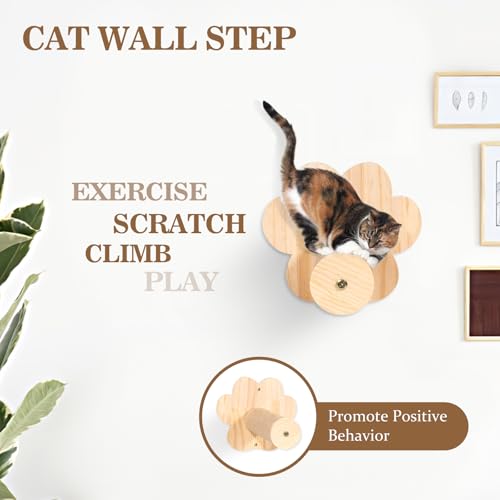 Cat Wall Shelves and Perches (5-Piece Set)