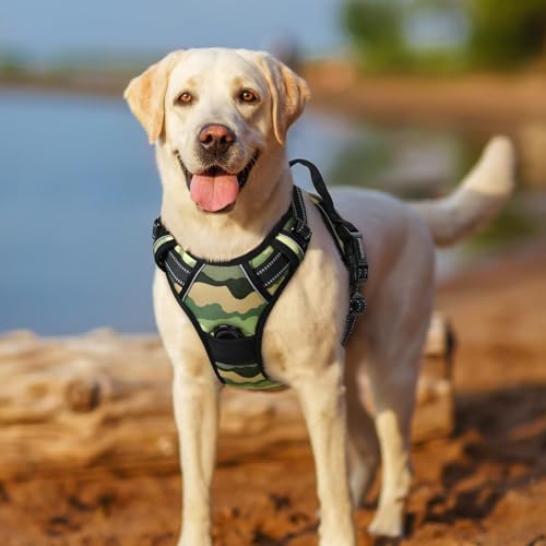 Dog Harness No Pull for Small Dogs with 2 Leash Clips (Small / Green Mountain)