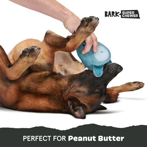 Bear Hugger Super Chewer (Grey Bear - Large)