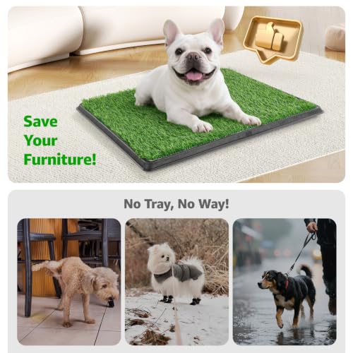 Portable Dog Grass Pad with Tray 20"x30" (20"x30")