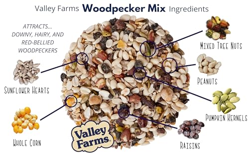 Woodpecker Mix (4 Pound (Pack of 1))