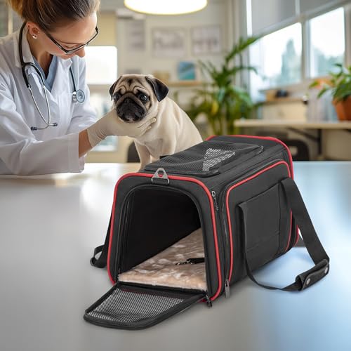 Large Expandable Cat Carrier for Travel (18.9"L x 12.2"W x 12.2"H / Black)