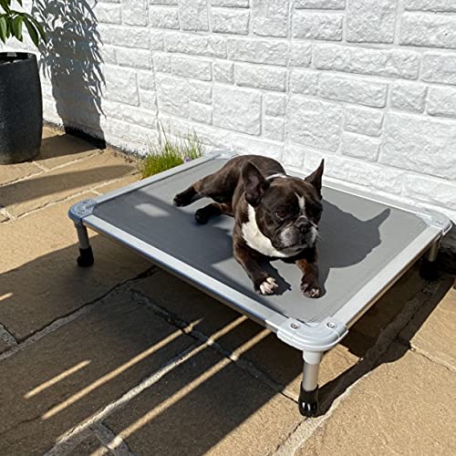 Chew Proof Elevated Dog Bed (Gray / 32.0"L x 25.0"W x 7.0"Th)