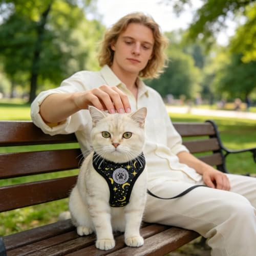 Cat Harness and Leash Set (Black / S (Chest: 11 - 16"))