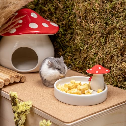 Hamster Snack Treat Toy
