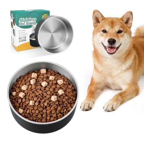 Dog Bowl for Food and Water (40 Ounces / Black)