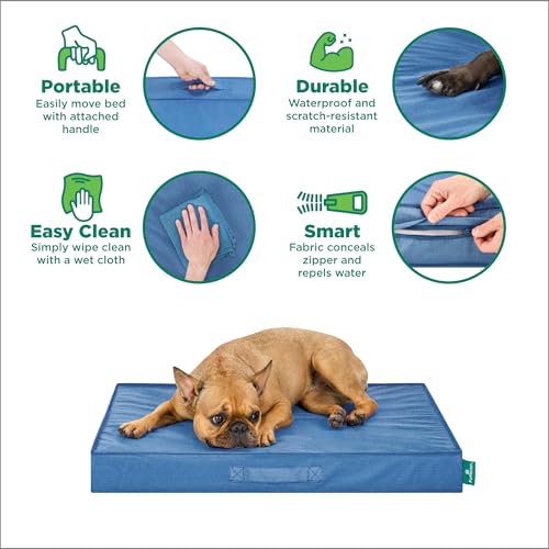 Cooling Dog Bed (Jumbo Plus / Blue)