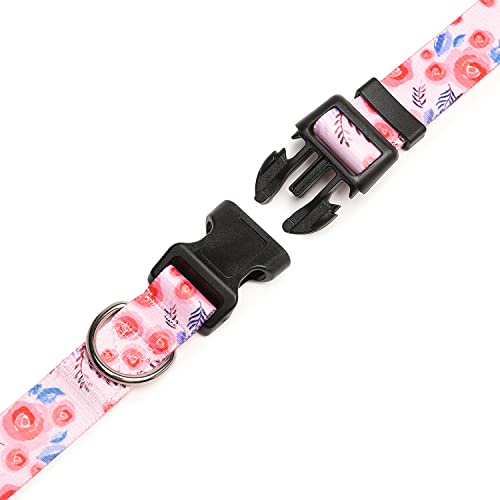 Adjustable Dog Collar (Medium / Rose)