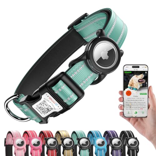 Airtag Dog Collar (Z: Teal / L: with Airtag Holder)