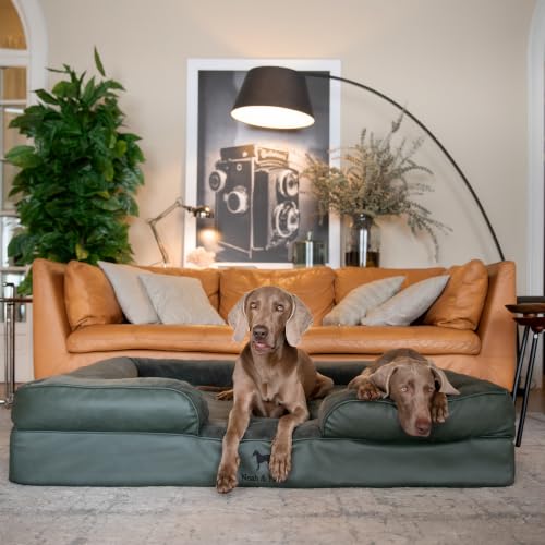XXL Dog Bed Orthopedic Memory Cooling Foam (Green - LE / XX-Large)
