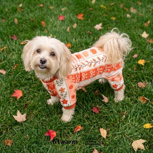 Pumpkin Dog Fleece Pajamas (Pumpkin Flower / X-Large)