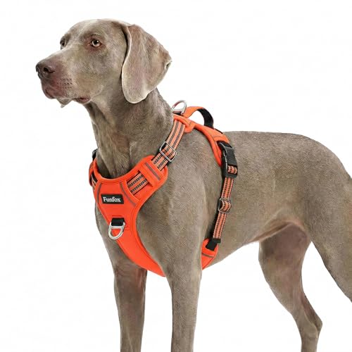 Dog Harness No Pull (Orange / X-Large)